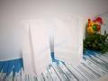 ถุงกระดาษพับข้าง สีขาว 13x7x21.7 cm.