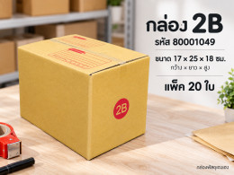 กล่อง 2B รูปที่ 1