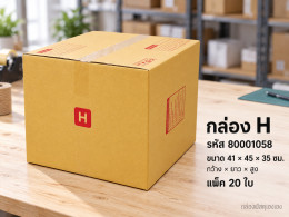 กล่อง H รูปที่ 1