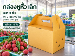 กล่องลูกฟูกหูหิ้ว เล็ก (3 ชั้น) รูปที่ 1