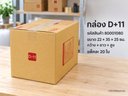 กล่อง D+11 รูปที่ 1