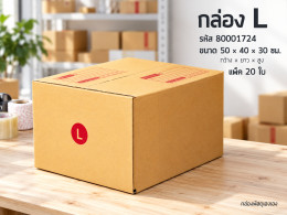 กล่อง L รูปที่ 1