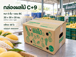 กล่องผลไม้ C+9 รูปที่ 1
