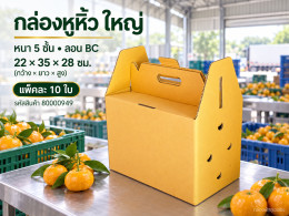 กล่องลูกฟูกหูหิ้ว ใหญ่ (5 ชั้น) รูปที่ 1