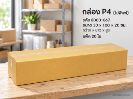 กล่อง P4 (ไม่พิมพ์) รูปที่ 1