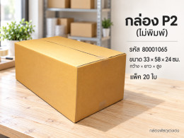 กล่อง P2 (ไม่พิมพ์) รูปที่ 1