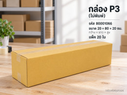 กล่อง P3 (ไม่พิมพ์) รูปที่ 1